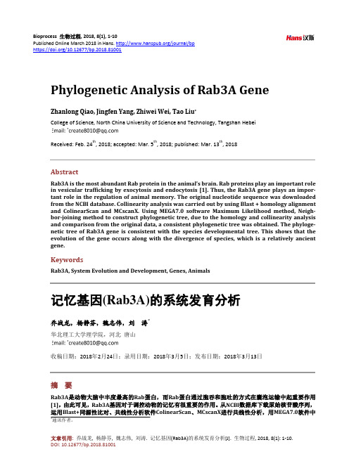 记忆基因(Rab3A)的系统发育分析