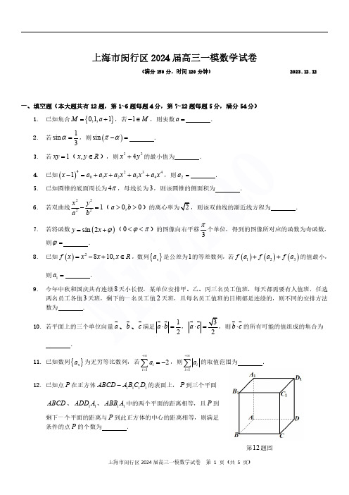 2024届上海市闵行区高三一模数学试题及答案