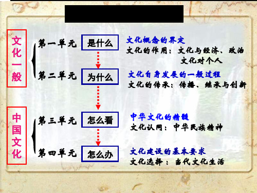 人教版高中政治必修三文化生活8.1色彩斑斓的文化生活课件(2020最新课件)