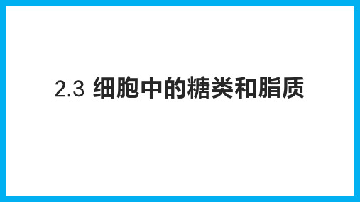 细胞中的糖类和脂质ppt课件