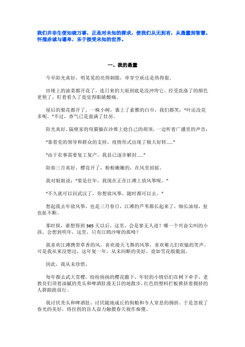 我的“愚蠢 ”关于智慧的作文