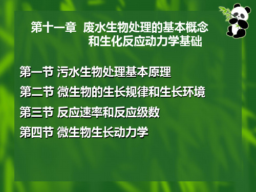 污水生物处理的基本概念生化反应动力学基础