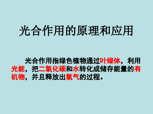 光合作用的过程和应用