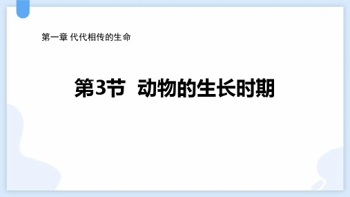 浙教版七年级下册科学《动物的生长时期》说课教学课件