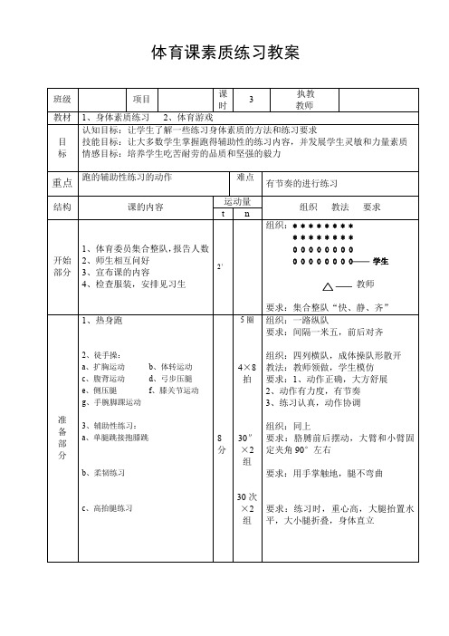 体育课身体素质练习教案