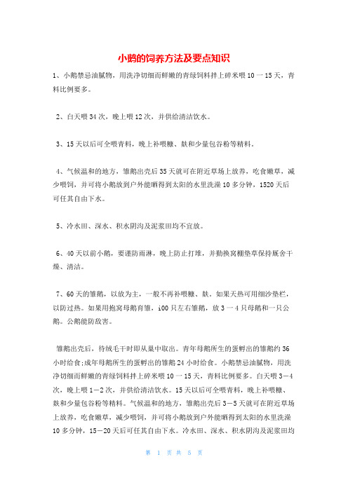 小鹅的饲养方法及要点知识