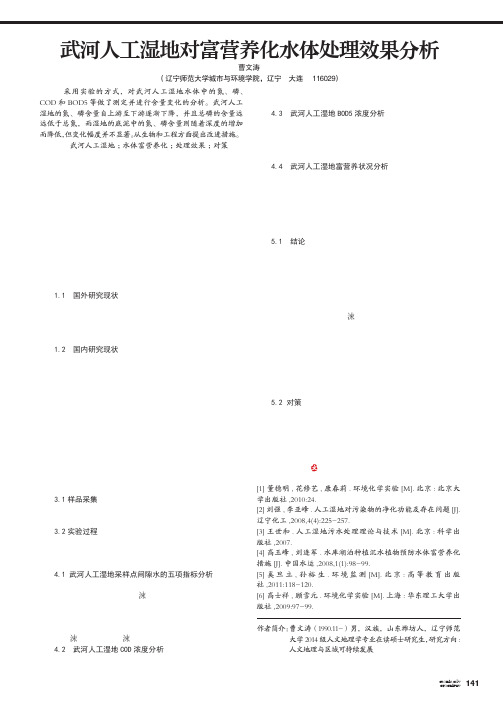 武河人工湿地对富营养化水体处理效果分析