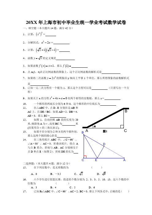 上海市中考数学试题及详细答案