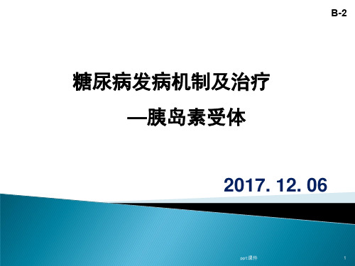 糖尿病发病机制和治疗  ppt课件