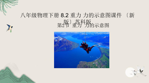 沧州市第六中学八年级物理下册 8.2 重力 力的示意图课件 苏科版2