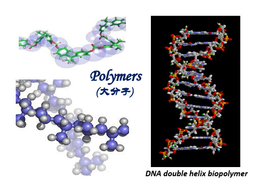 专业英语polymer