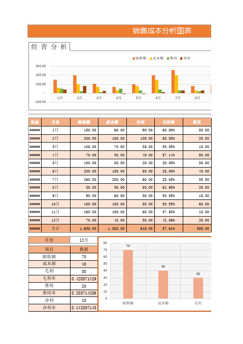 销售成本财务分析组合图表Excel模板