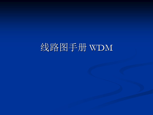 737 WDM培训课件