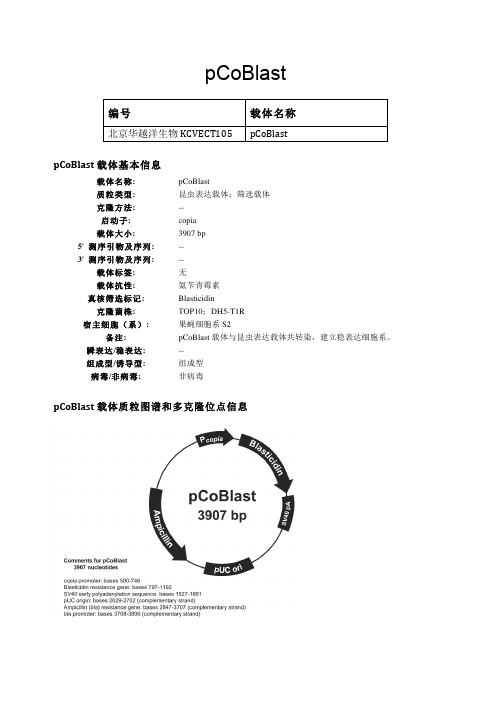 pCoBlast昆虫表达载体说明