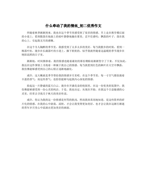 什么牵动了我的情丝_初二优秀作文