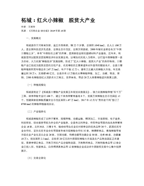 柘城：红火小辣椒 脱贫大产业