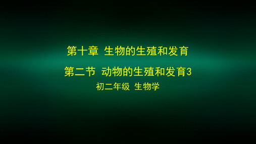 初二生物学北京版第十章生物的生殖和发育第二节动物的生殖和发育3