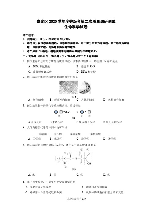 上海市嘉定区2020-2021学年高中等级考生物二模卷 有解答(2021.04)