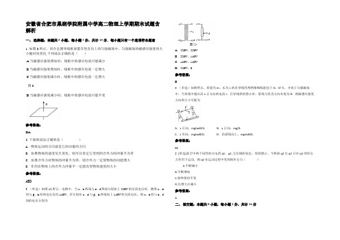 安徽省合肥市巢湖学院附属中学高二物理上学期期末试题含解析