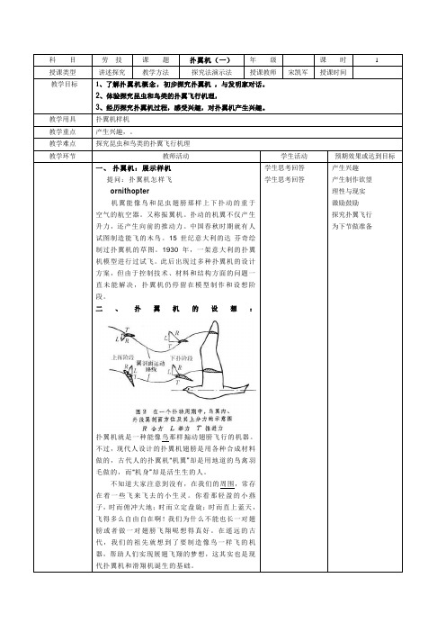 扑翼机