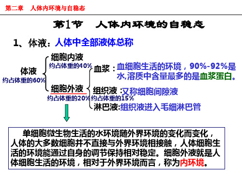 人体内环境的自稳态 (2)