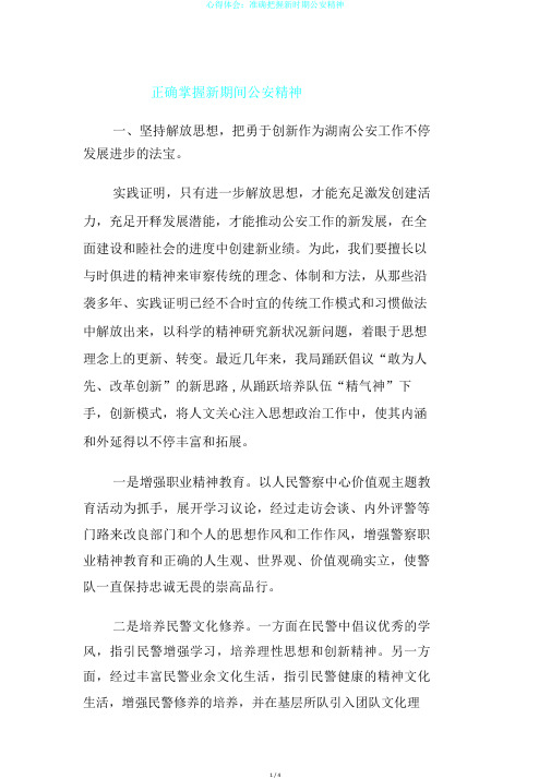 心得体会：准确把握新时期公安精神