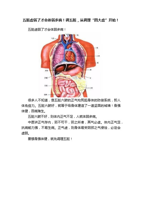 五脏虚弱了才会体弱多病！调五脏，从调理“四大虚”开始！