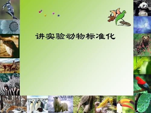 实验动物标准化(PPT 80张)