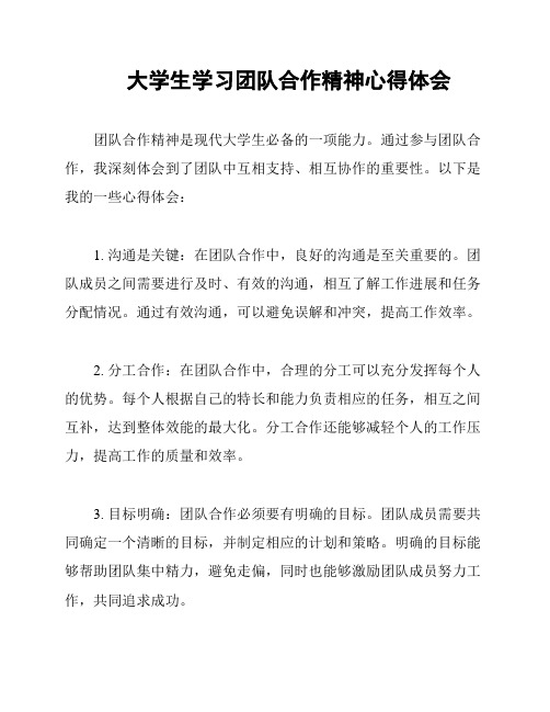 大学生学习团队合作精神心得体会