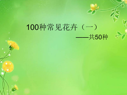 100种常见花卉