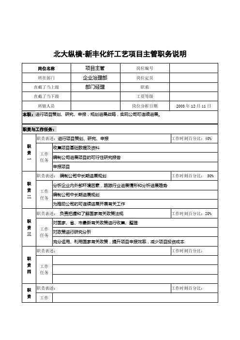 北大纵横-新丰化纤工艺项目主管职务说明