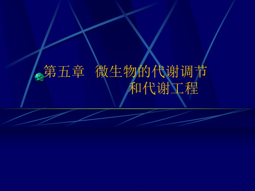 微生物的代谢调节解读