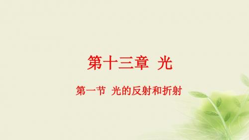 高中物理 第十三章 光 第1节 光的反射和折射课件 新人教版选修34