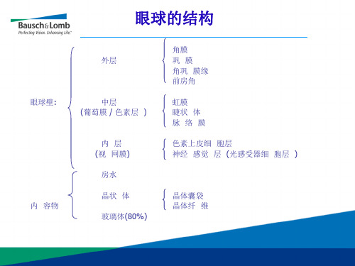 眼科超乳玻切手术基础知识-文档资料