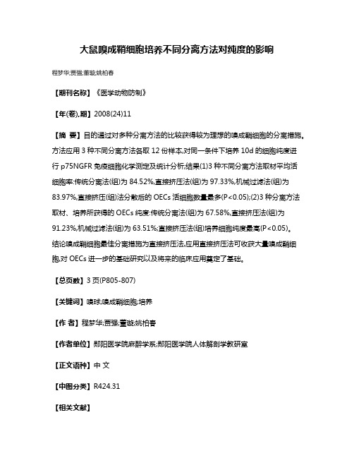 大鼠嗅成鞘细胞培养不同分离方法对纯度的影响