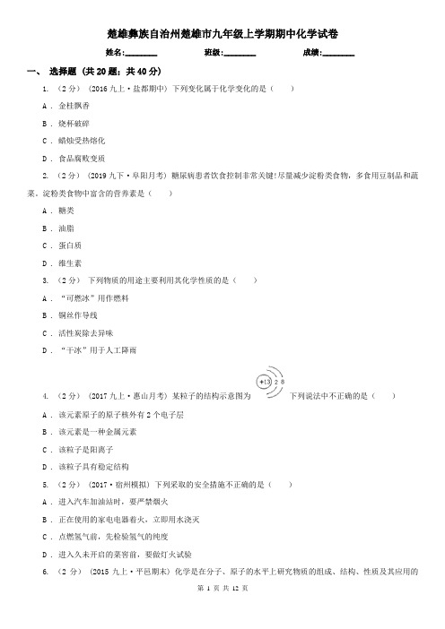 楚雄彝族自治州楚雄市九年级上学期期中化学试卷