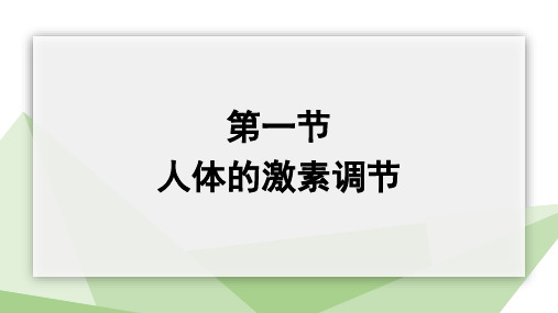 人体的激素调节课件(共25张PPT)济南版生物七年级下册