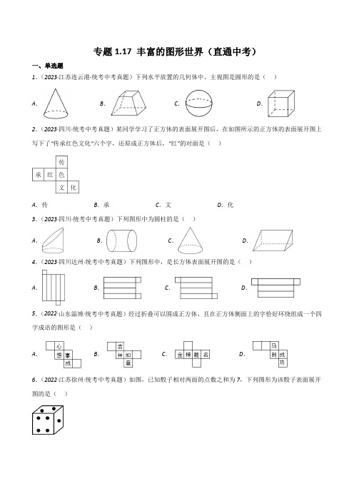 专题1.17 丰富的图形世界(直通中考)-2023-2024学年七年级数学上册基础知识专项突破讲与练