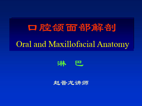 口腔颌面部解剖.ppt