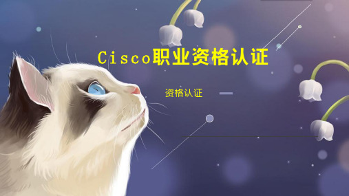 Cisco职业资格认证