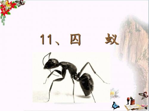六年级语文上册囚蚁 PPT精品课件1鄂教版