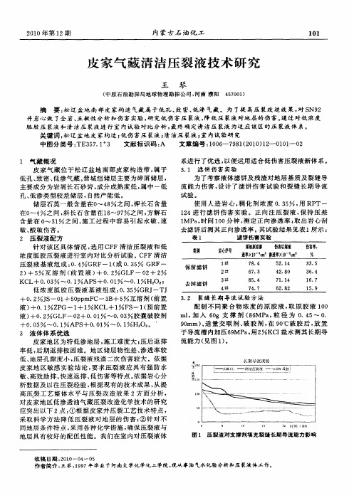 皮家气藏清洁压裂液技术研究