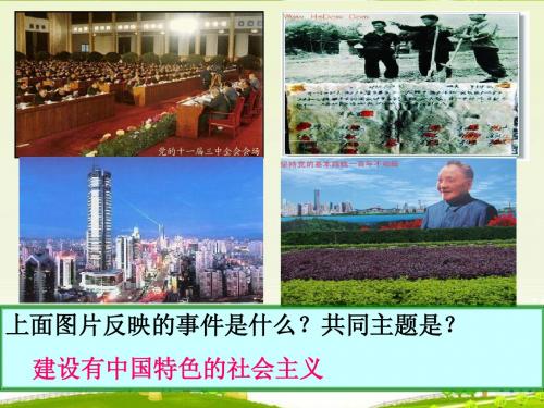 八年级历史下册第三单元复习课件