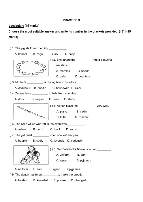 新加坡小学二年级英语试卷PRACTICE 3