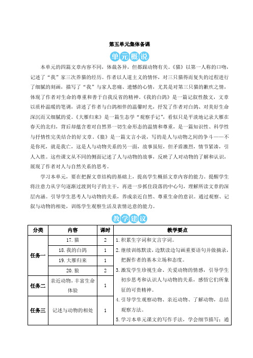 2024秋季初中语文七年级上册新教材详案17 猫(名师教案)