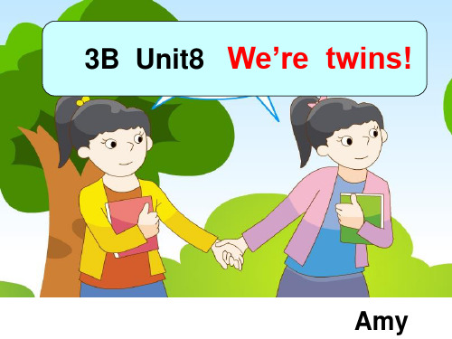 Unit8We'retwins!课件