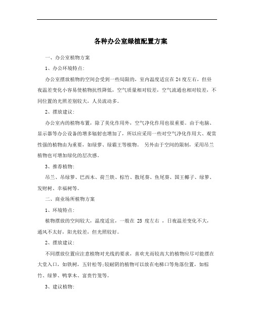 各种办公室绿植配置方案