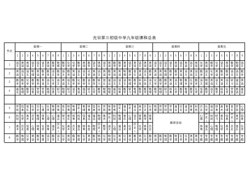 九年级课表(最后确定版) (1)