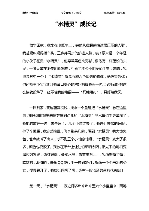 “水精灵”成长记作文【小学六年级800字】