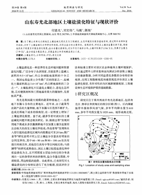 山东寿光北部地区土壤盐渍化特征与现状评价